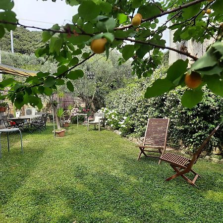 Casa Olivia Lacrema Finale Ligure Luaran gambar