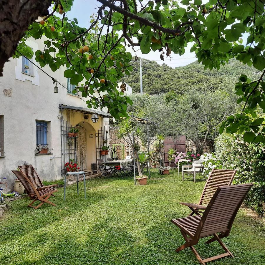 Casa Olivia Lacrema Finale Ligure Luaran gambar
