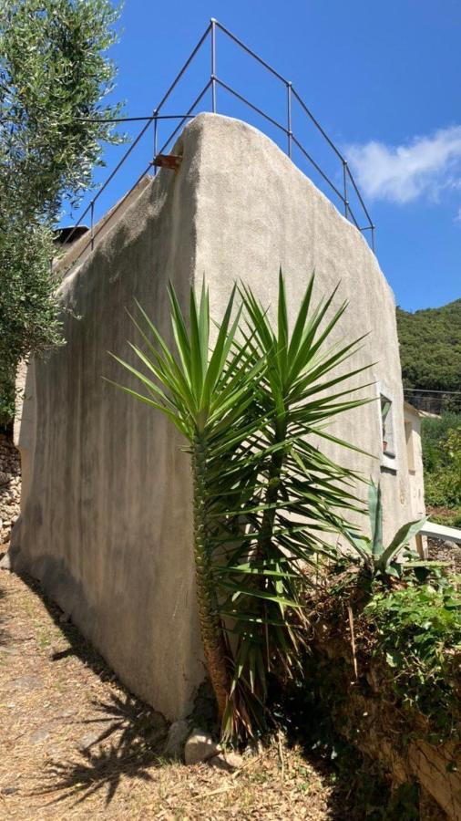 Casa Olivia Lacrema Finale Ligure Luaran gambar