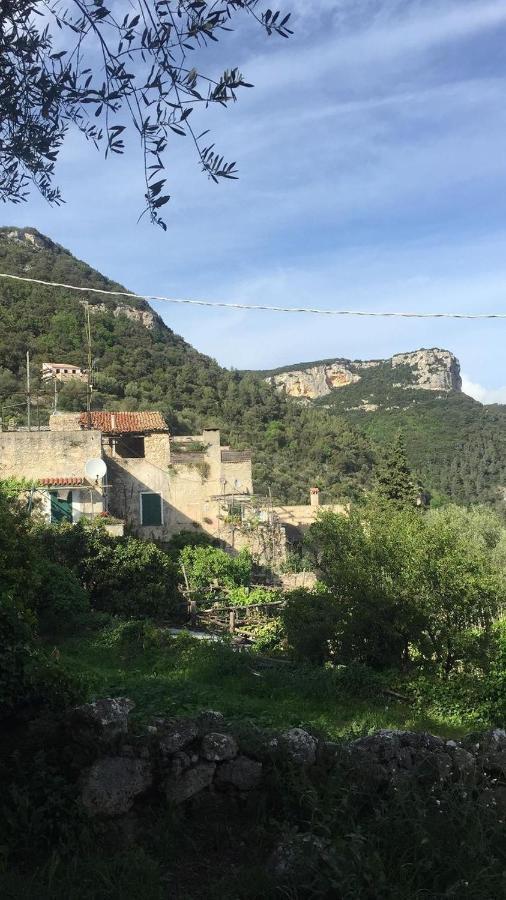 Casa Olivia Lacrema Finale Ligure Luaran gambar